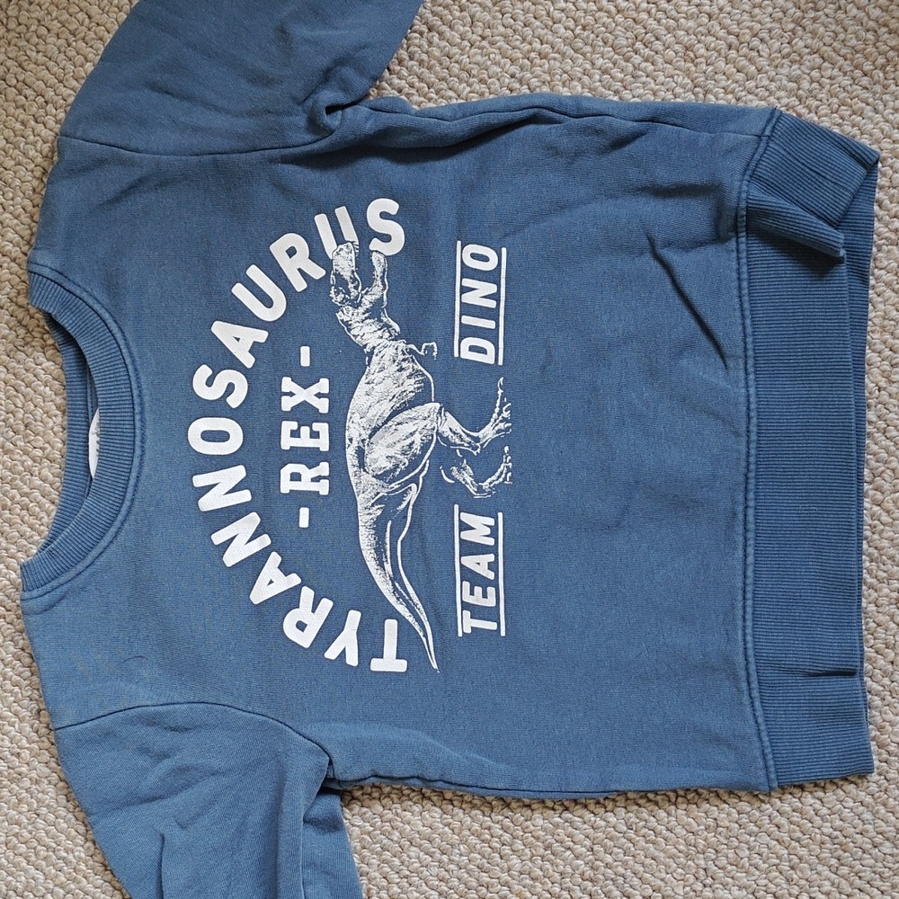 H&M Dark Blue Cotton Sweatshirt With Dinosaur, 2-4y